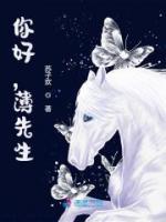 你好，薄先生