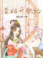 貴妃升職記