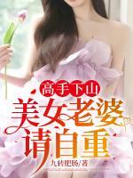 高手下山：美女老婆請自重