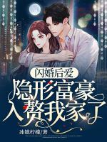 閃婚后愛：隱形富豪入贅我家了