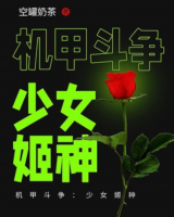 機(jī)甲斗爭(zhēng)：少女姬神