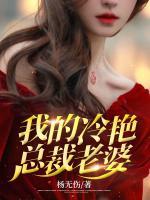 我的冷艷總裁老婆