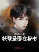 妖孽圣醫(yī)在都市