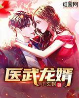醫(yī)武龍婿