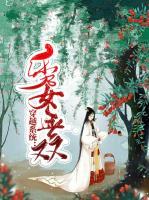 穿越系統(tǒng)：秀女無雙