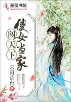 傻女當家闖天下