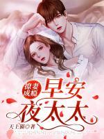 撩妻成癮：早安，夜太太