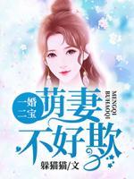 一婚二寶：萌妻不好欺