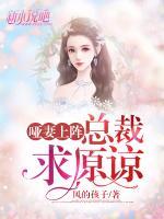 啞妻上陣：總裁求原諒