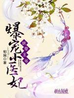 妖孽王爺，爆寵小醫(yī)妃