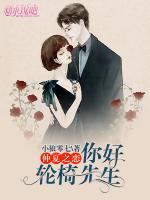 仲夏之戀：你好，輪椅先生