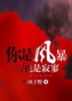 你是風(fēng)暴，也是寂寥
