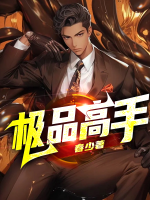 極品高手