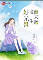 誰來賠這一生好光景