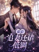 霍總，追妻還請低調(diào)
