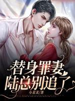 替身罪妻，陸總別追了