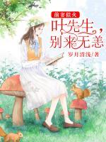 前妻似火：葉先生，別來無恙