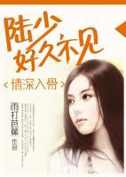情深入骨：陸少，好久不見