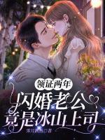 領證兩年，閃婚老公竟是冰山上司