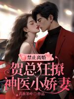禁止離婚！賀總狂撩神醫(yī)小嬌妻