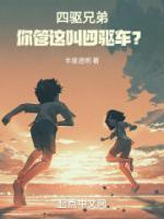 四驅(qū)兄弟：你管這叫四驅(qū)車(chē)？