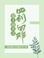 愛(ài)上前夫之罰罪
