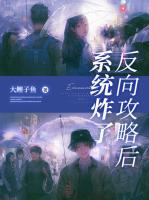 反向攻略后，系統(tǒng)炸了