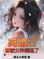 離婚后，我被女神倒追了