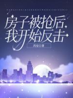 房子被搶后，我開始反擊