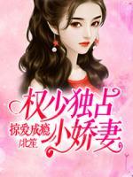 掠愛成癮：權(quán)少獨(dú)占小嬌妻