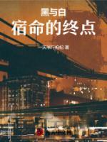黑與白：宿命的終點(diǎn)