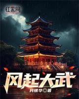 風(fēng)起大武