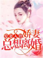 愛妻入骨：嬌妻總想離婚