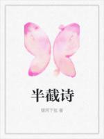 半截詩(shī)