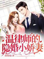 溫律師的隱婚小嬌妻