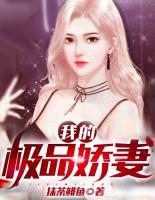 我的極品嬌妻