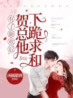 有了新歡后，賀總他下跪求和