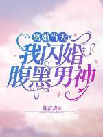 離婚當(dāng)天，我閃婚腹黑男神