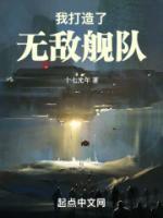 我打造了無(wú)敵艦隊(duì)