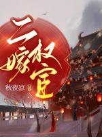 二嫁權(quán)宦