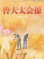 獸夫太會撩