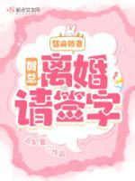 替身嬌妻：賀總，離婚請(qǐng)簽字