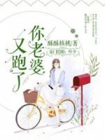 豪門隱婚：葉少，你老婆又跑了