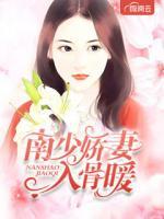 南少嬌妻入骨暖