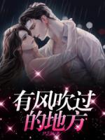 有風(fēng)吹過的地方