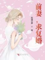 前妻，求復(fù)婚！