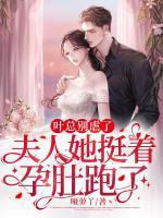 葉總別虐了，夫人她挺著孕肚跑了