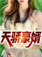 天驕豪婿