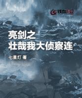 亮劍之壯哉我大偵察連