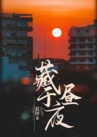 藏于晝夜
